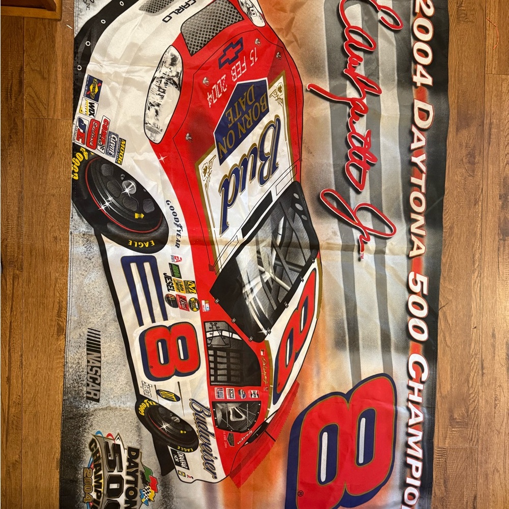 Dale Earnhardt Jr. #8 2004 Daytona 500 Champion Flag 60 x 36 USED SEE DETAILS :)